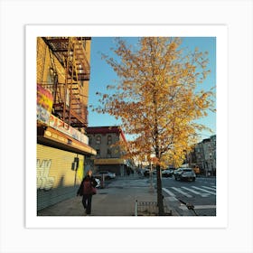 Autumn In Brooklyn Art Print