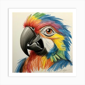 Colorful Parrot 49 Art Print