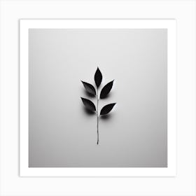 Black And White Leaf Art Print