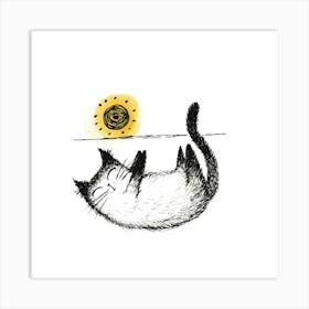 Cat Sleeping In The Sun Art Print