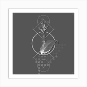 Vintage Indian Shot Botanical with Line Motif and Dot Pattern in Ghost Gray Art Print