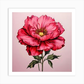 Pink Peony 1 Art Print