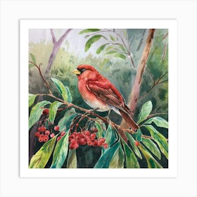 Red Cardinal Art Print