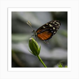 Butterfly On A Flower Art Print