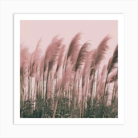 Pink Reeds 1 Art Print