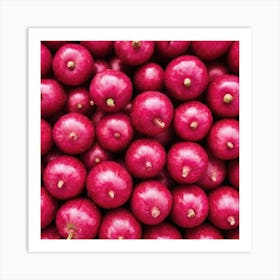 Red Radish Art Print