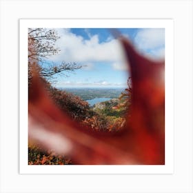 Autumn Leaves On A Mountain Art Print