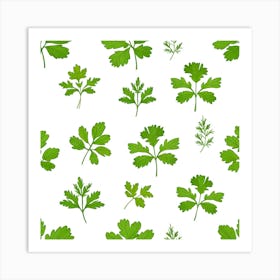 Parsley Leaves Seamless Pattern Art Print Art Print