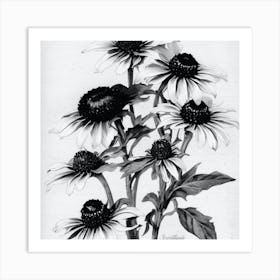 Black Eyed Susan Wildflower Vintage Botanical Art Print Eyed Susan Art Print