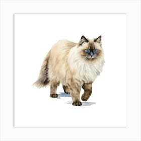 Siamese Cat 1 Art Print