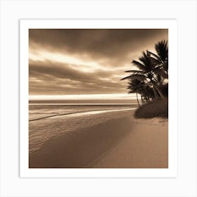 Photograph - Palm Trees On The Beach Art Print