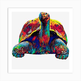 Galapagos Turtle Art Print