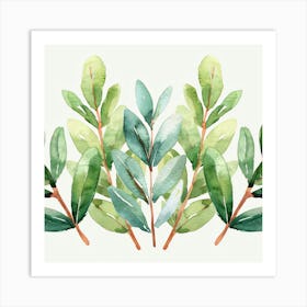 Watercolor Eucalyptus Leaves 1 Art Print