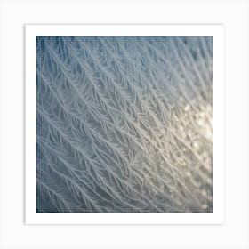 Ice Crystals Art Print