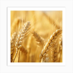 Golden Wheat Art Print