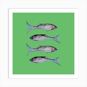 Four Green Fish Art Print