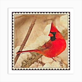 Cardinal Postage Stamp Square Art Print