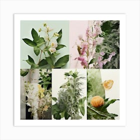 Collage Texture Photography Pictures Fonts Pastel Botanical Plants Layered Mixed Media Vi (15) Art Print