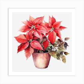 Poinsettia 19 Art Print