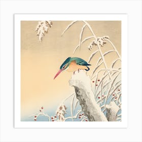 Kingfisher In Snow 1 Art Print