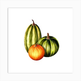 Pumpkins Art Print