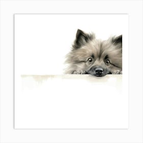 Pomeranian Dog 2 Art Print