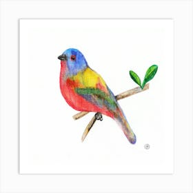 Colorful Bird Drawing Art Print