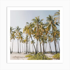 Palm Tree Forest Art Print