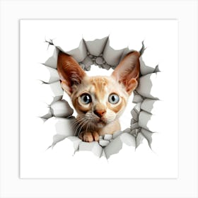 Sphynx Cat Art Print