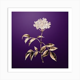 Gold Botanical Elderflower Tree on Royal Purple n.2759 Art Print