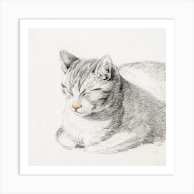 Sketch Of A Cat (1808), Jean Bernard Art Print