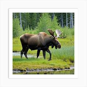 Moose Antlers Wildlife Herbivore North America Forest Majestic Large Bull Cow Calf Solita (5) Art Print