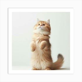 Persian Cat Art Print