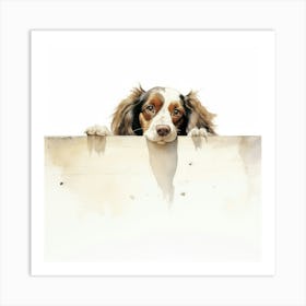 Spaniel Boykin 5 Art Print