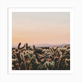 Cholla Cactus Sunset Art Print