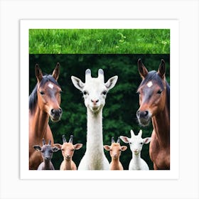 Llamas 10 Art Print