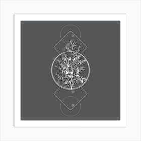 Vintage Common Juniper Botanical with Line Motif and Dot Pattern in Ghost Gray n.0051 Art Print