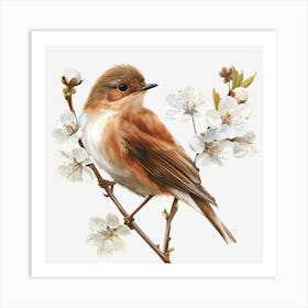 Bird In Cherry Blossoms Art Print