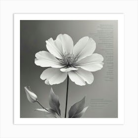 Flower With A Poem Art Print