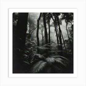 Black Forest Art Print