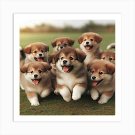 Shih Tzu Puppies Art Print