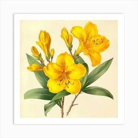 Yellow Lily Art Art Print