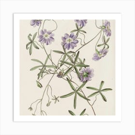 Commiphora Art Print