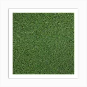 Green Grass Background 9 Art Print