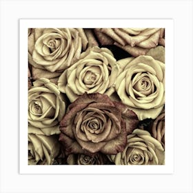 Brown Roses Art Print