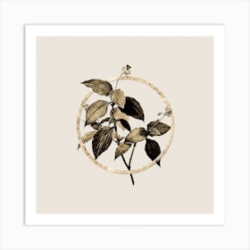 Gold Ring Tradescantia Erecta Glitter Botanical Illustration n.0051 Art Print