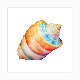 Colorful Sea Shell 1 Art Print