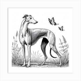 Line Art greyhound dog 2 Art Print