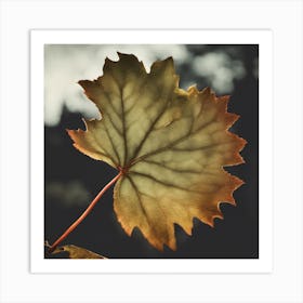 Autumn Leaf 9 Art Print