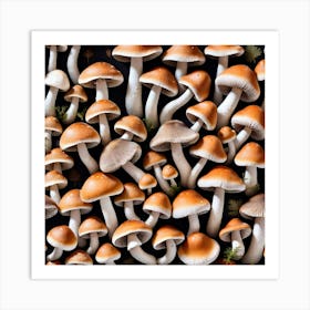 Mushrooms On A Black Background 1 Art Print